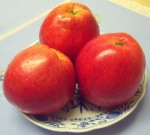 Äpfel - vor und nach der Fastenkur